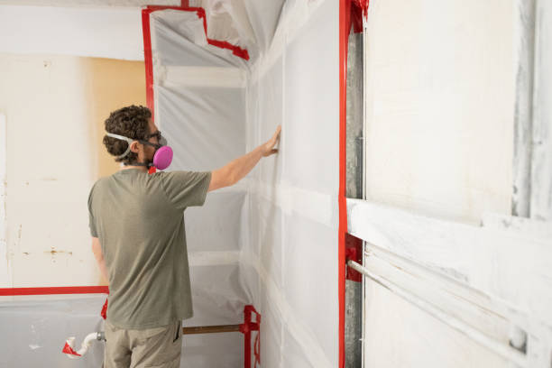Best Water Damage & Mold Remediation  in Chaffee, MO